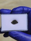 NWA 16774 Pallasite Meteorite 0.932g End Cut | Colorful Olivine Crystals | COA — photo 10