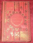 La famille Martin. Histoire de plusieurs ours. Génin / Lançon. Hetzel. Sans date