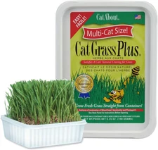 Cat Grass Kit for Indoor Cats, 5.25 Ounce, Hairball Control, Anti-Inflammatory