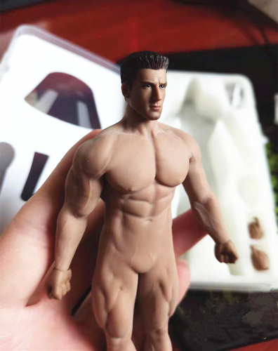 1/12 TBLeague PHICEN TM02A 16.3cm Male Seamless Body W/ Head Figure Doll Model - Picture 2 of 11