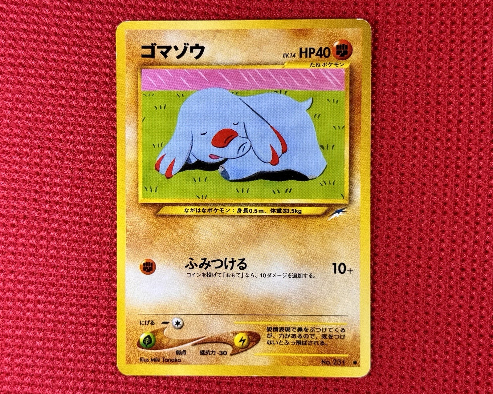 Phanpy No. 231 Common 2001 Neo Destiny Pokemon Japanese Card NM