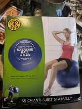 Golds Gym 65 Cm Performance Ball Anti-Burst Core Flexibility Exercise Ball New
