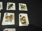 Picture 8 of 8