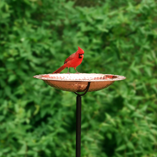 Elegant Pure Copper 13" Garden Bird Bath Stake for Your Outdoor Oasis - Afbeelding 2 van 8