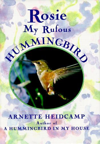 Rosie: Mein rufous Kolibri von Heidcamp, Arnette - Bild 1 von 1