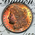 * 1882-S * SOLID+ GEM BU MS MORGAN SILVER DOLLAR * FROM ORIGINAL COLLECTION