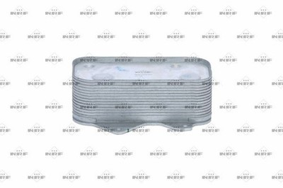 Oil cooler, engine oil NRF 31259