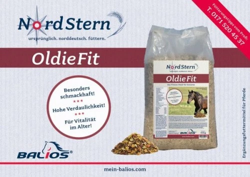 Balios Nordstern Oldie-Fit