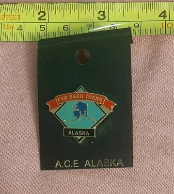 Vintage Alaska I've Been There State Map Shape Travel Souvenir Lapel Pin