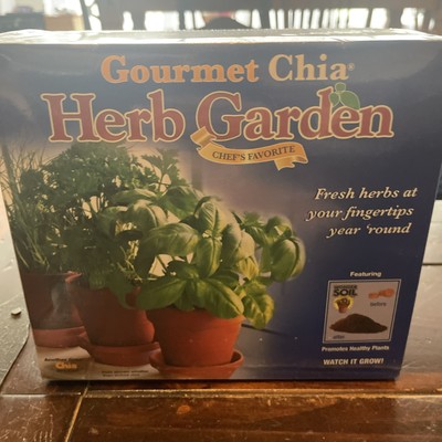CHIA Terra Cotta Herb Garden Grow Herbs Indoors NEW Sealed Box