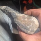 South Dakota Petrified Wood, Cabbing, Lapidary Rough, Slab Cutting 1 lb 3.5oz — photo 6