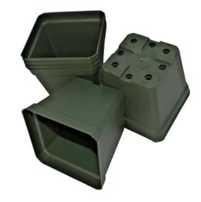Dark Green Square Greenhouse Pot - 3.875" - Rigid Plastic - Dillen - Choose Qty