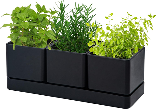 Herb Garden Planter Set, Plastic Plant Pots with Drainage and Saucer, Indoor Suc