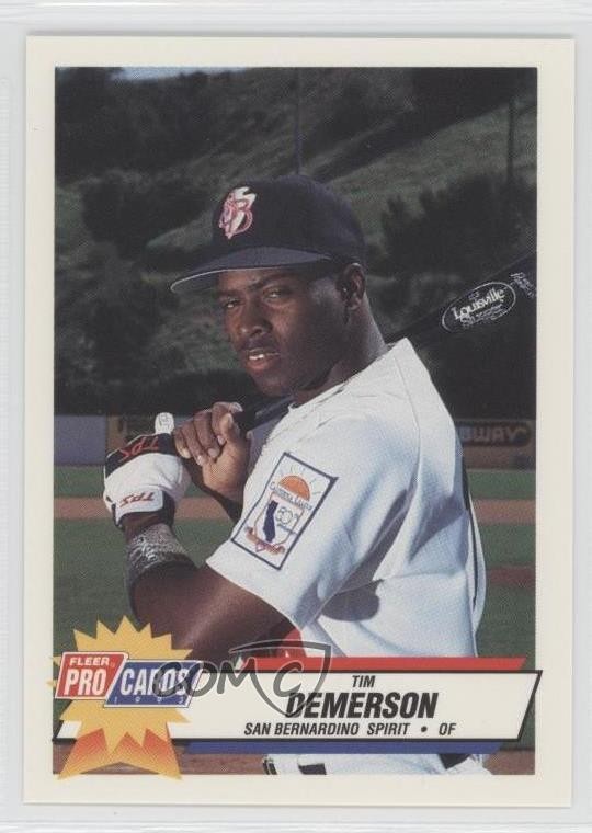1993 Fleer ProCards Minor League Tim Demerson #782 0q3