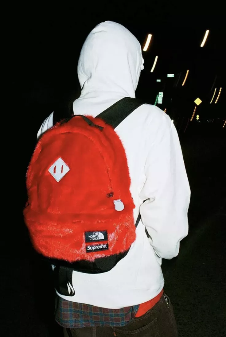 supreme north face faux fur backpack