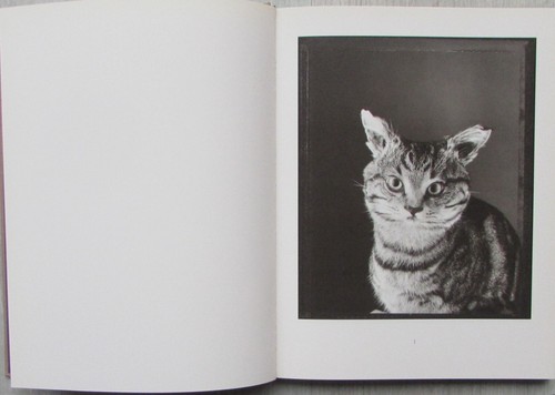 Animal - Bettina Rheims. Libro de fotografia de una excepcional fotógrafa. - Imagen 11 de 22