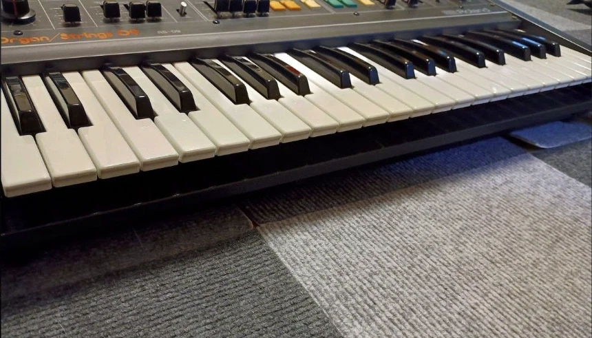 Roland RS-09 mkII Organ / Strings 09 Analog Synthesizer 44-Key AC100V 50/60Hz - Image 4 of 4