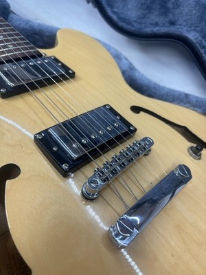 Epiphone Dot W/ Hard Case | eBay