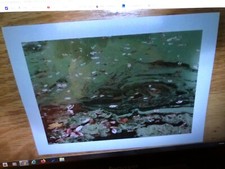 ORIGINAL Photograph by ALLEN G.CASTNER matted Made in USA