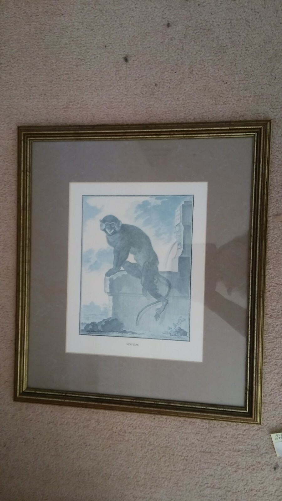 Picture 3 of 9