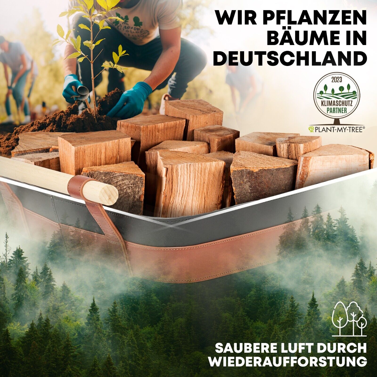 Bild 3 von 24