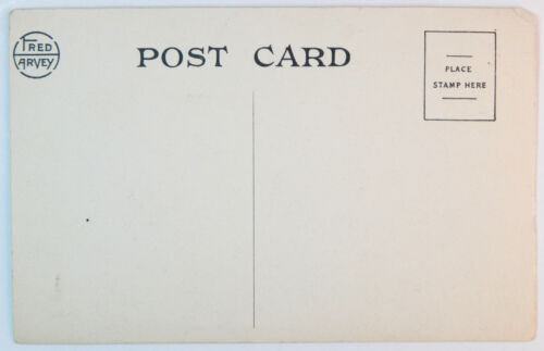c1910 BISONTE FRED HARVEY HOTEL HUTCHINSON KANSAS CARTOLINA NON SPEDITA FOTO LITOGRAFICA - Foto 3 di 3