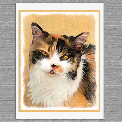 6 Calico Cat Blank Art Note Greeting Cards
