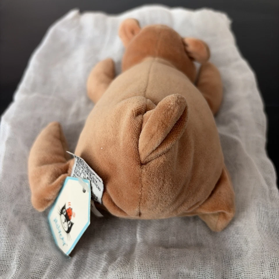 Rare Jellycat Flatto Bear From 2000 Retired Complete with Tags - Image 3 of 4