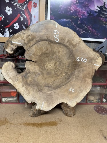 Italian walnut cookies,disk, 670-650-85mm Tick Kiln Dried - Picture 1 of 3