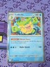 Pokemon TCG Ludicolo 037/159 Journey Together NM Holo Rare
