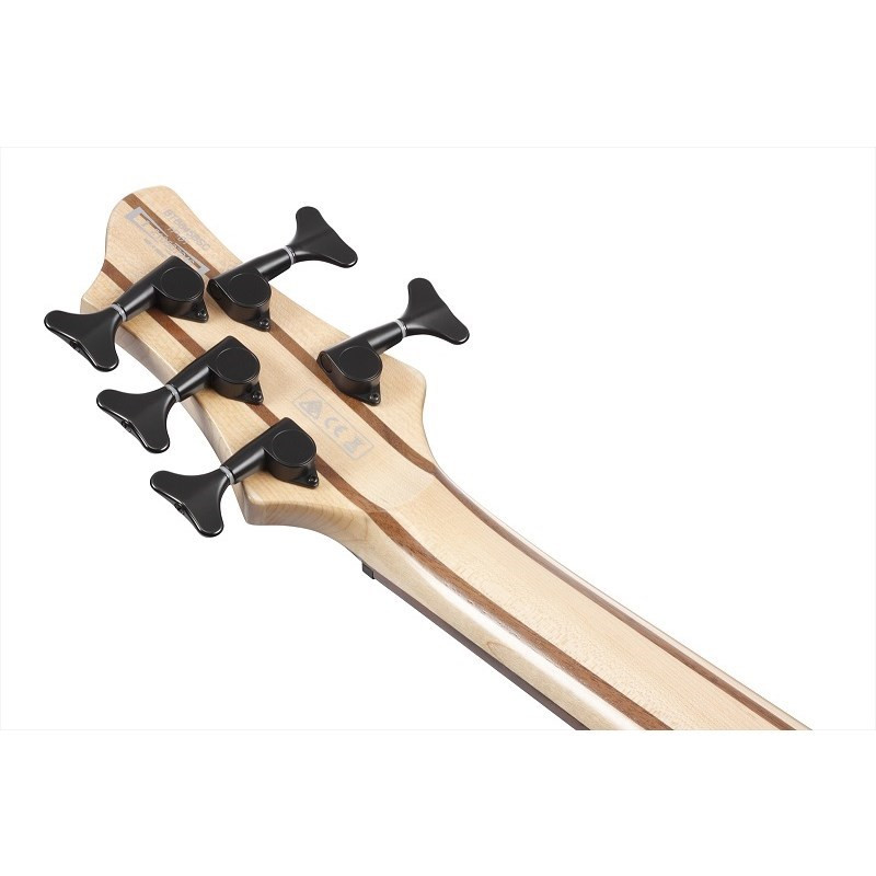 ベース IbanezBass Workshop BTB865SC-WKL Ibanez Bass Workshop BTB865SC 5-string Bass Guitar