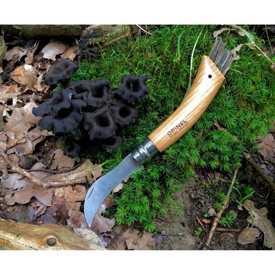 Opinel Pilzmesser rostfrei Buche Wildschweinborsten Schwammerlmesser 