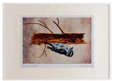 591087 Downy Woodpecker Watercolour Picture Frame