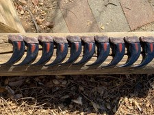 Ten Large 3" Bear Claws You Get a Total of 10 - Plus Shipping is Free