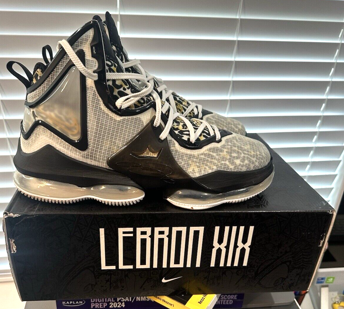 シューズ(男性用) NIKE CZ0203 003 29.0 NIKE（ナイキ）の「NIKE LEBRON XIX CZ0203-003（スニーカー