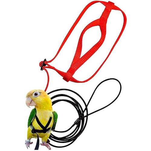 Verstellbares Vogel Fliegengeschirr Leine Seil Vögel Papagei Outdoor Freiflug Training - Bild 8 von 9