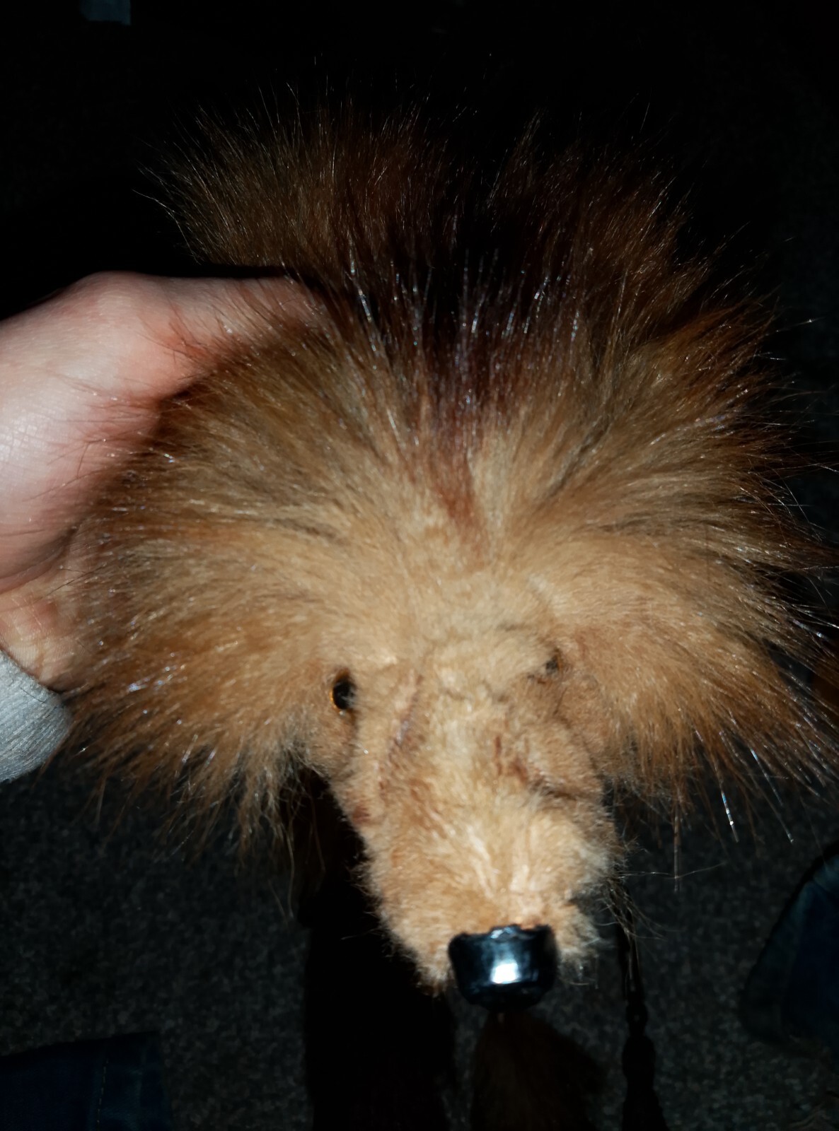 Bild 3 von 5
