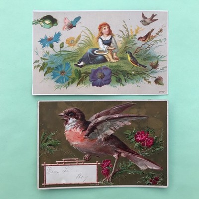 1880s LOT OF TWO CHROMOLITHOGRAPH ADV. CARDS, ''BIRDS OF A FEATHER'' RELATED THEME