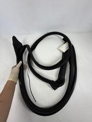 2017-2023 Tesla Model 3 Primary Body Seal Front Left LH OEM NEW 1090499-90-N