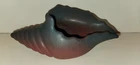 Van Briggle Pottery Sea Shell Mulberry Glaze Art Nouveau Colorado Springs