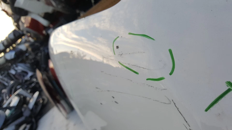 Toyota RAV4 RAV-4 2006-2012 capó cubierta panel OEM H384 Foto 4 de 4