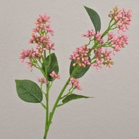 Artplants KüNstlicher Schneeball Zweig Labiba Mit Knospen, Rosa, 60Cm