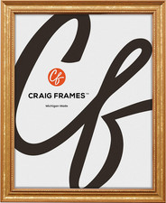 Craig Frames 314GD, Ornate Gold Picture Frame, 8.5 X 11 Inch