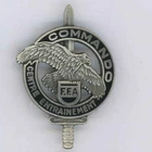 CEC Patent FFA Training Badge Drago Hazel MLV
