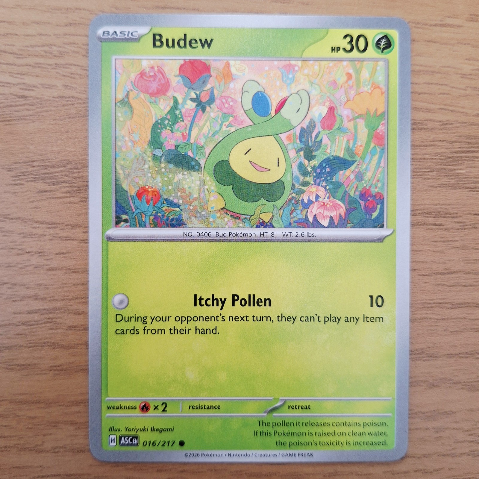 Budew Common ME: Ascended Heroes 016/217 NM