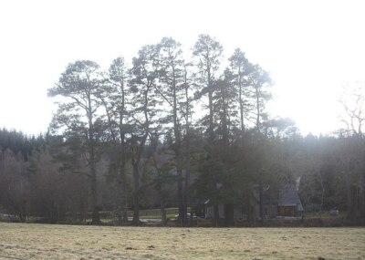 Photo 6x4 Cottages between Bogloch Burn and A93 Bridge of Canny From Crai c2009