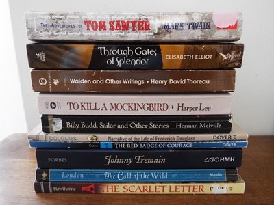 Lot 10 Classical Conversations Challenge I Novels Books