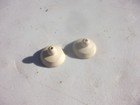 <!--F#f_0-->NEW DASH RACK SUCTION CUPS TO FX FJ FE FC FB EK EJ EH HOLDEN NASCO ACCESSORY<!--F/-->