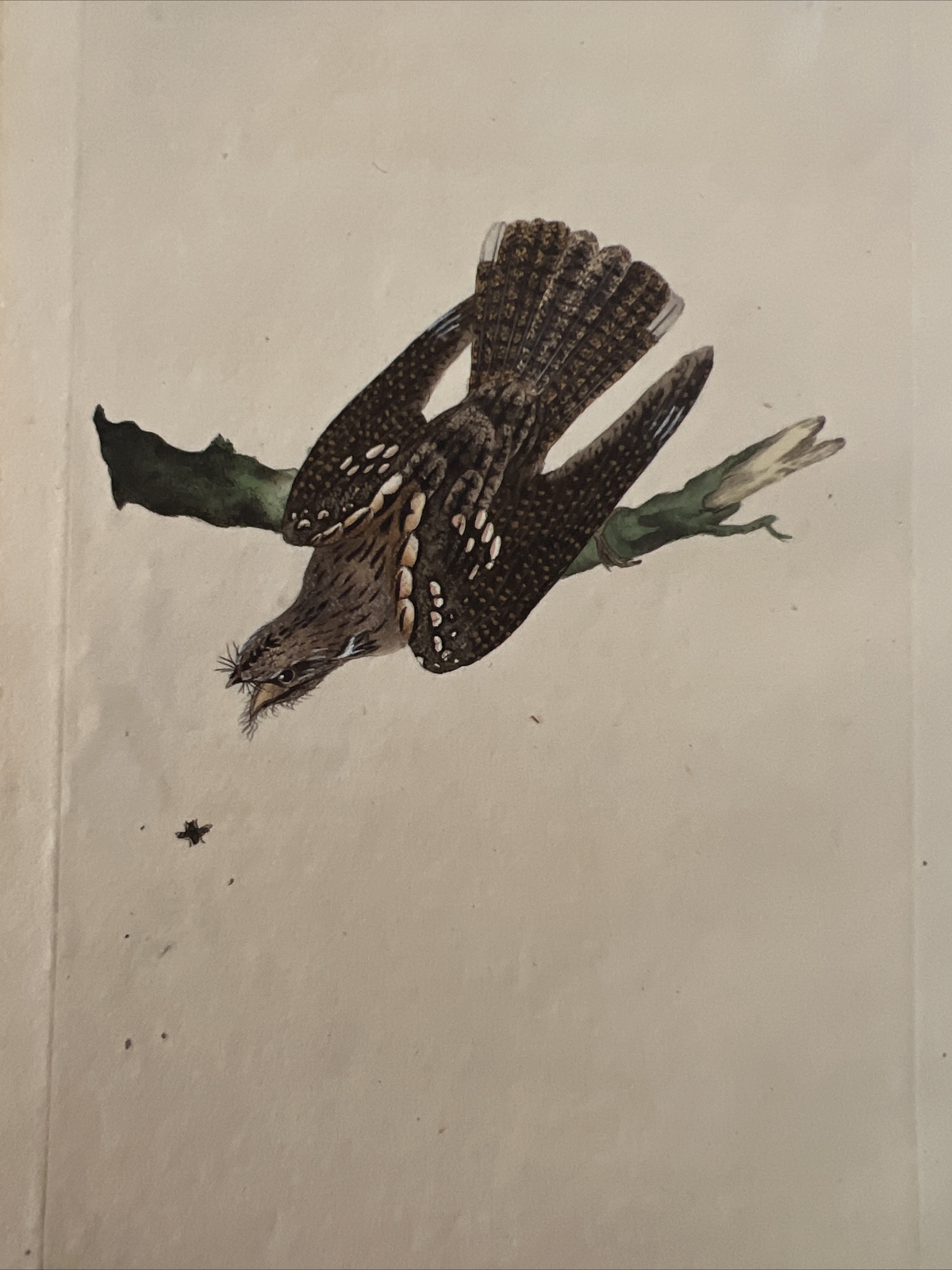Picture 1 of 4