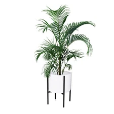 Large Indoor Metal Plant Stand Shelf Anti Rust Iron Garden Flower Rack Brand New